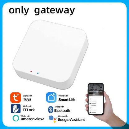 Biometric Smart Door Lock Fingerprint Password Electric Digital Handle Tuya Zinc Alloy Keyless Remotely Security Home KingKu RomantiLume