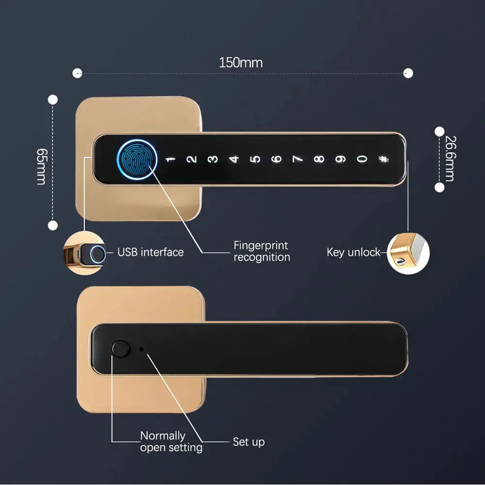 Biometric Smart Door Lock Fingerprint Password Electric Digital Handle Tuya Zinc Alloy Keyless Remotely Security Home KingKu RomantiLume