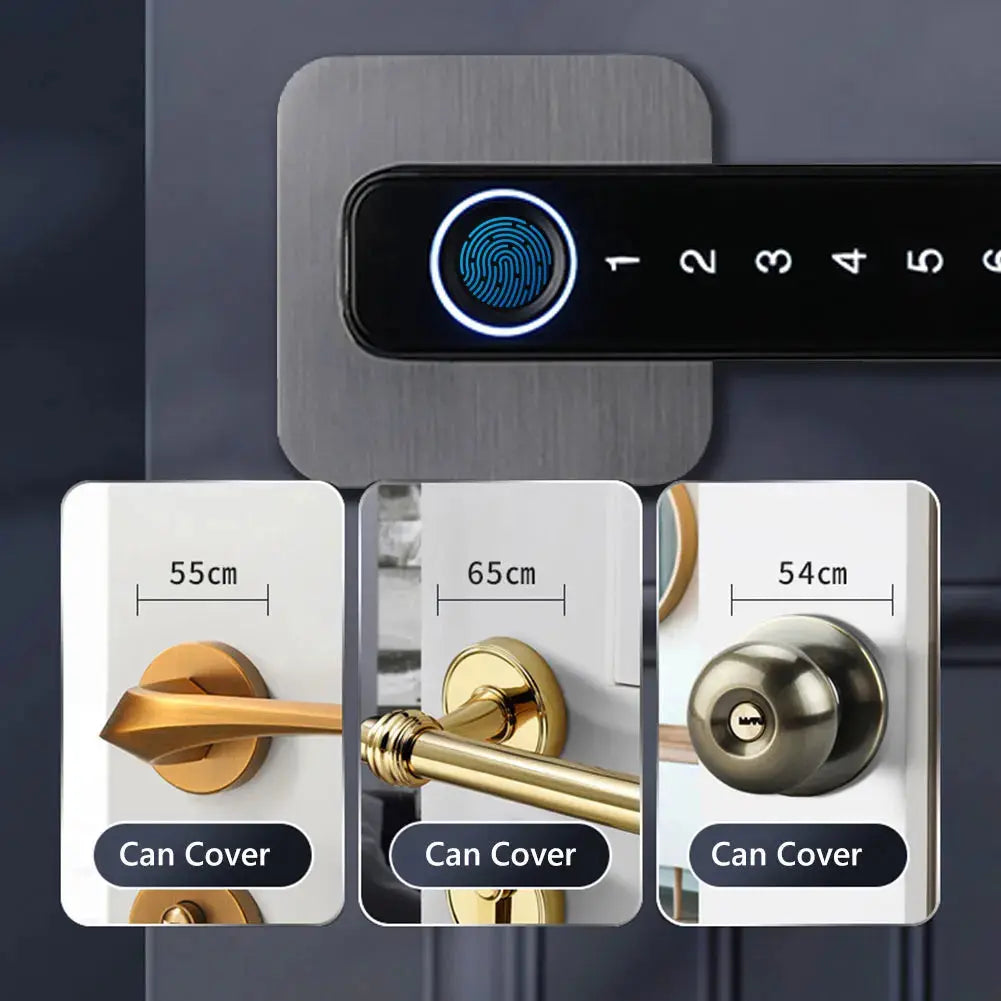 Biometric Smart Door Lock Fingerprint Password Electric Digital Handle Tuya Zinc Alloy Keyless Remotely Security Home KingKu RomantiLume