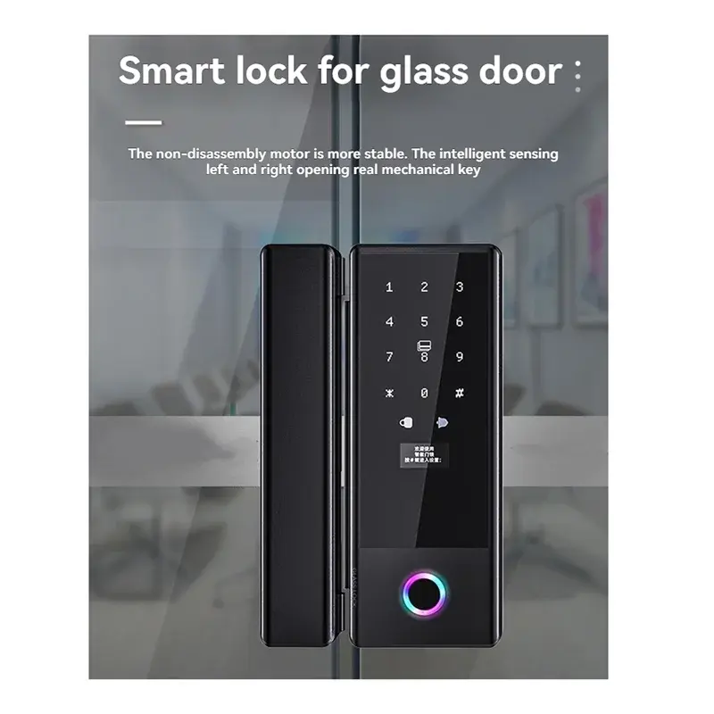 ELECT-Tuya Smart Home Fingerprint Lock With Biometric Access For Sliding Glass Doors Electronic Glass Door Lock RomantiLume